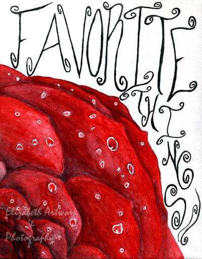 My Favorite Things, Raindrops on Roses