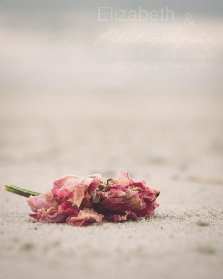 RoseOnBeach